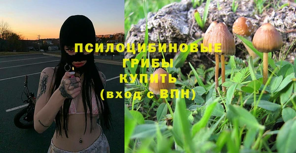 apvp Алексин