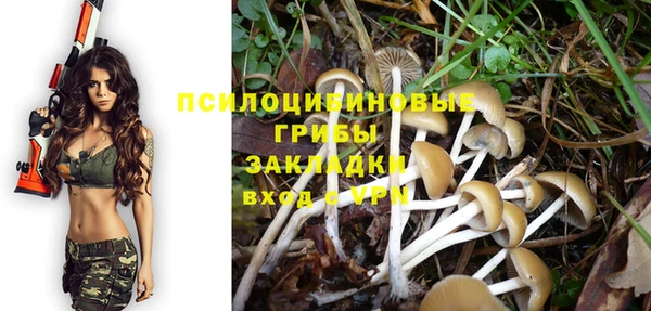 винт Алексеевка