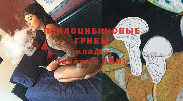 бошки Алзамай