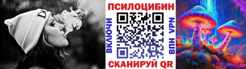 mega ССЫЛКА  Бодайбо  Галлюциногенные грибы Psilocybe 