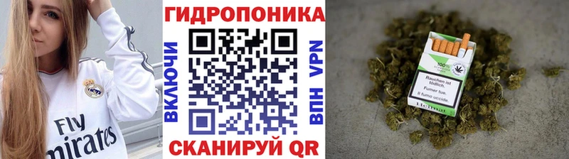 дарк нет формула  Бодайбо  Бошки Шишки конопля  закладки 